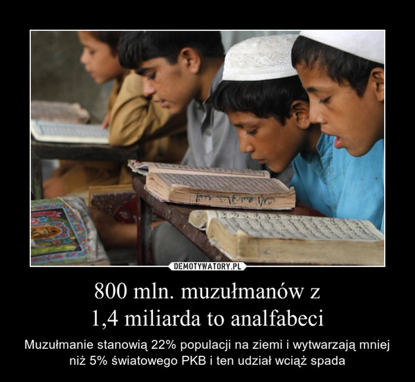 800 mln. muzumanw z1,4 miliarda to analfabeci  Muzumanie stanowi 22% populacji na ziemi i wytwarzaj mniej ni 5% wiatowego PKB i ten udzia wci spada 