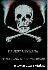 Pole tekstowe:  
             www.wolnyswiat.pl
