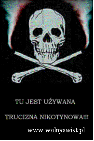 Pole tekstowe:  
              www.wolnyswiat.pl
